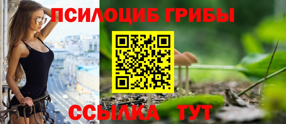 Галлюциногенные грибы мухоморы Тобольск